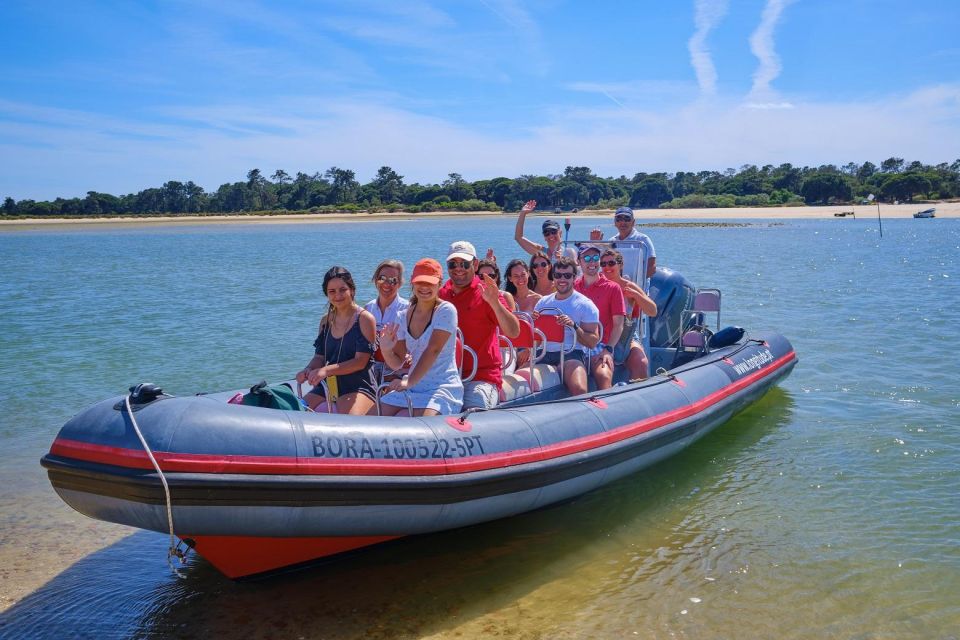 Setúbal: Dolphin-Watching Boat Tour - Dolphin-Watching Guarantee