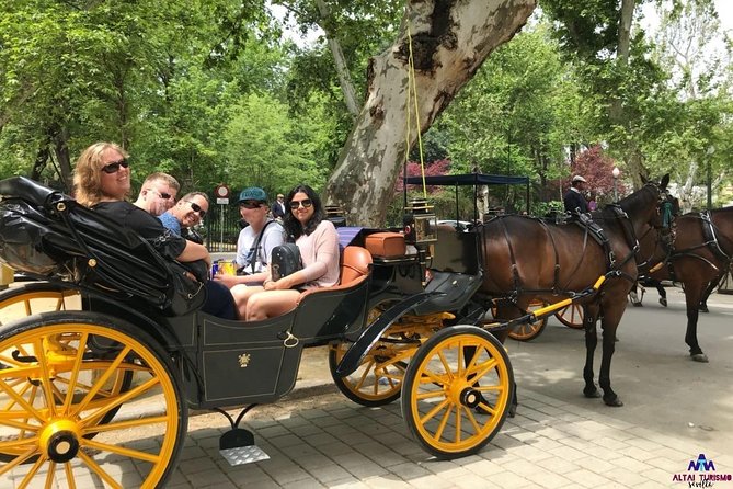 Seville Guided Horse Carriage Private Tour - Private Tour Experience