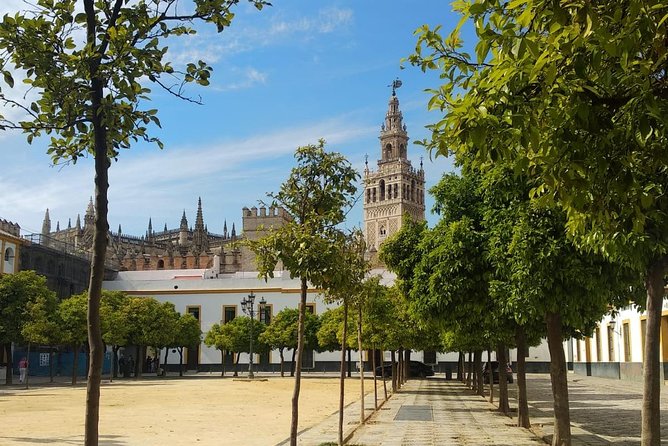 Seville Highlights Private Walking Tour - Exploring the Jewish Quarter