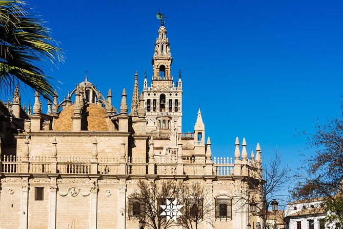 Seville:Private Tour Cathedral and Giralda Entrance Included Skip the Line - Accessibility and Tour Type