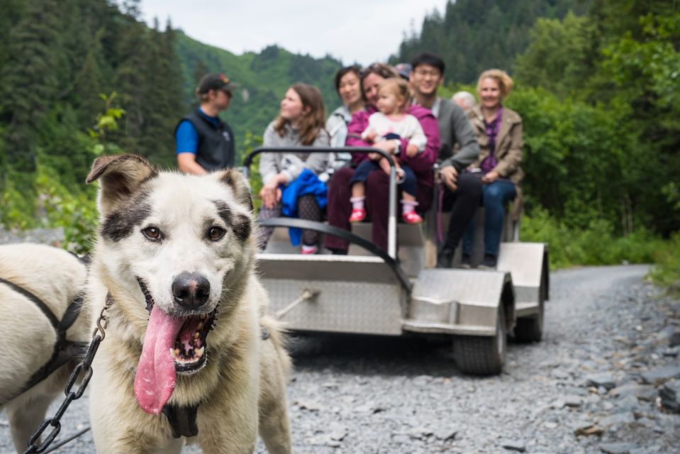 Seward: Summer Dog Sled Ride and Seavey Estate Tour - Tour Details