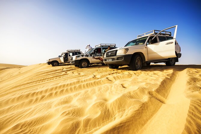 Shore Excursions of Dubai City Tour Followed by Desert Safari - Evening Desert Safari Experience