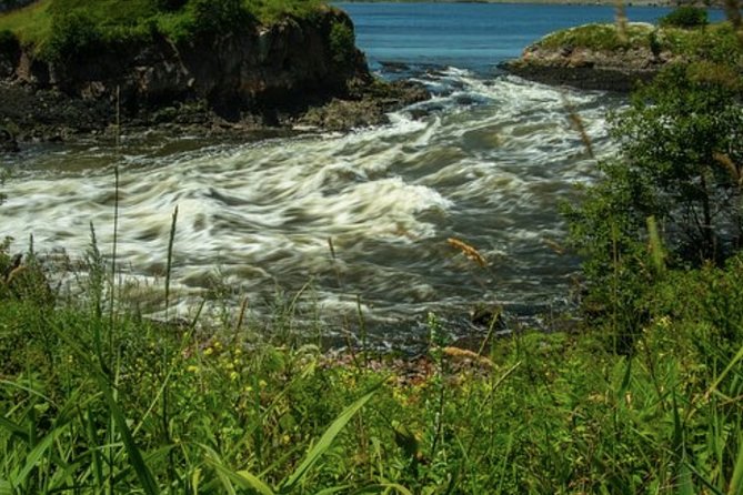 Shore Excursion:Saint John History Walking Tour - Accessibility and Fitness Level