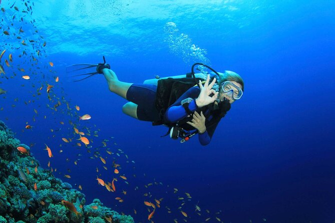 Side Scuba Diving With Under Water Museum: 2 Dives With Lunch And Free Transfer - Cancellation Policy