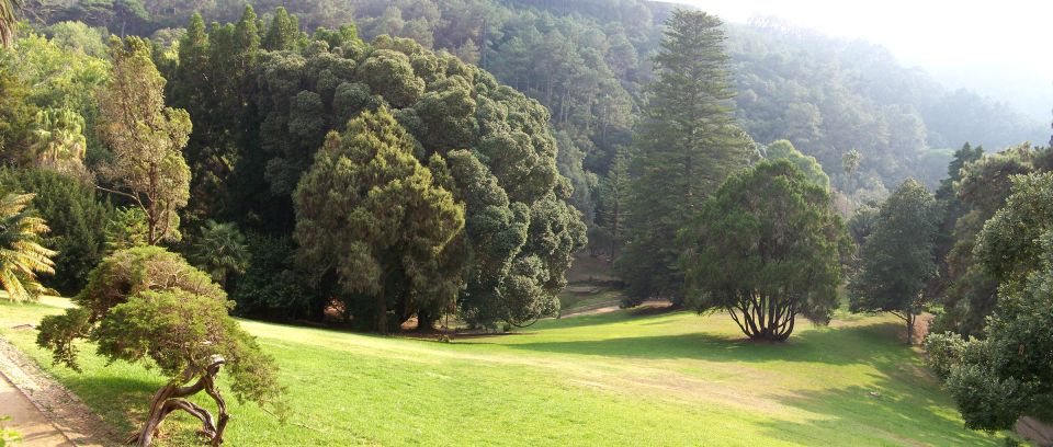 Sintra+ Cascais Gardens Full Day: Private Tour - Historic Heart of Sintra