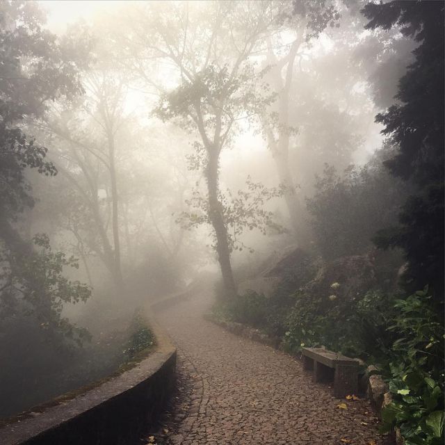 Sintra: Legends and Medieval Stories Private Walking Tour - Highlights of the Tour