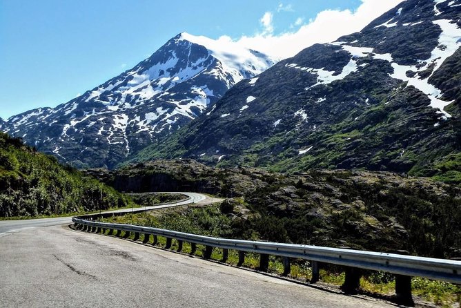 Skagway Shore Excursion: Half-Day Tour to the Yukon Border and Suspension Bridge - Scenic Drive Along the Klondike Highway