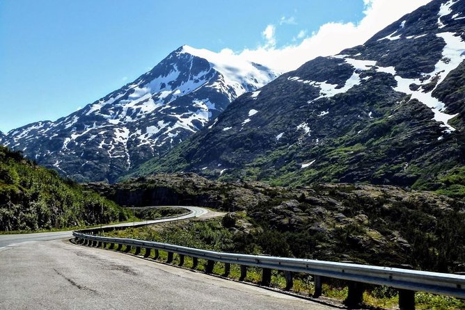 Skagway Shore Excursion: White Pass Summit and Skagway City Tour - Scenic Views Encountered