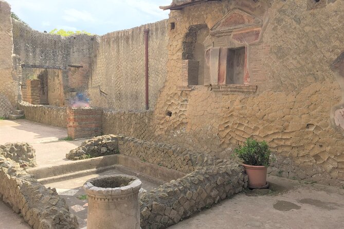 Skip the Line Ancient Herculaneum Walking Tour With Top Rated Guide - Price