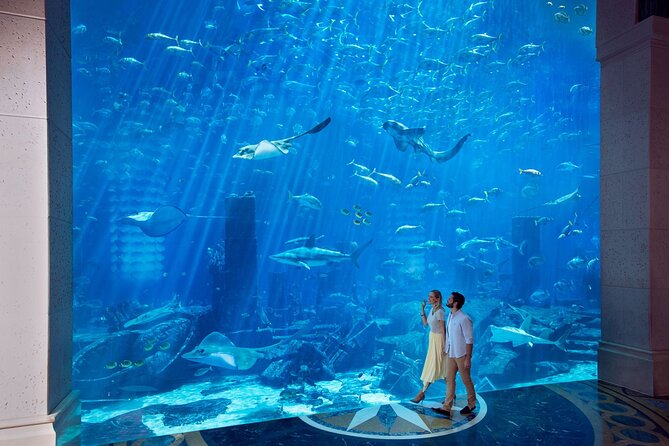 Skip the Line: Lost Chambers Entry at Atlantis The Palm Ticket - Interactive Marine Creature Information