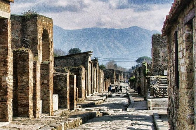 Skip the Line Private Tour of Pompeii From Sorrento - Accessibility and Participation