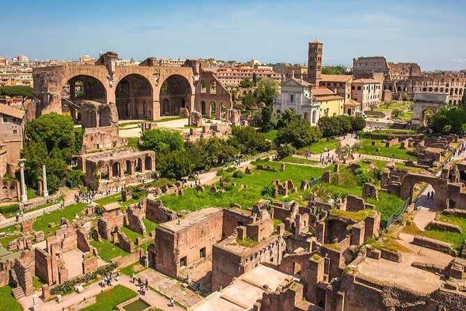 Skip the Line Tickets: Roman Forum and Palatine Hill - Accessibility and Suitability