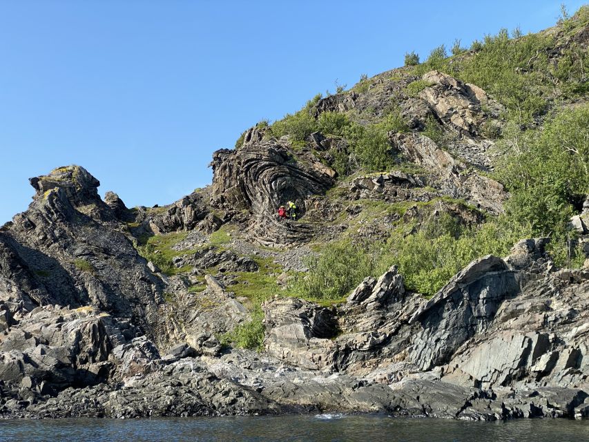 Skjervøy: Birds and Wildlife of Arctic Norway - Wildlife Sightings