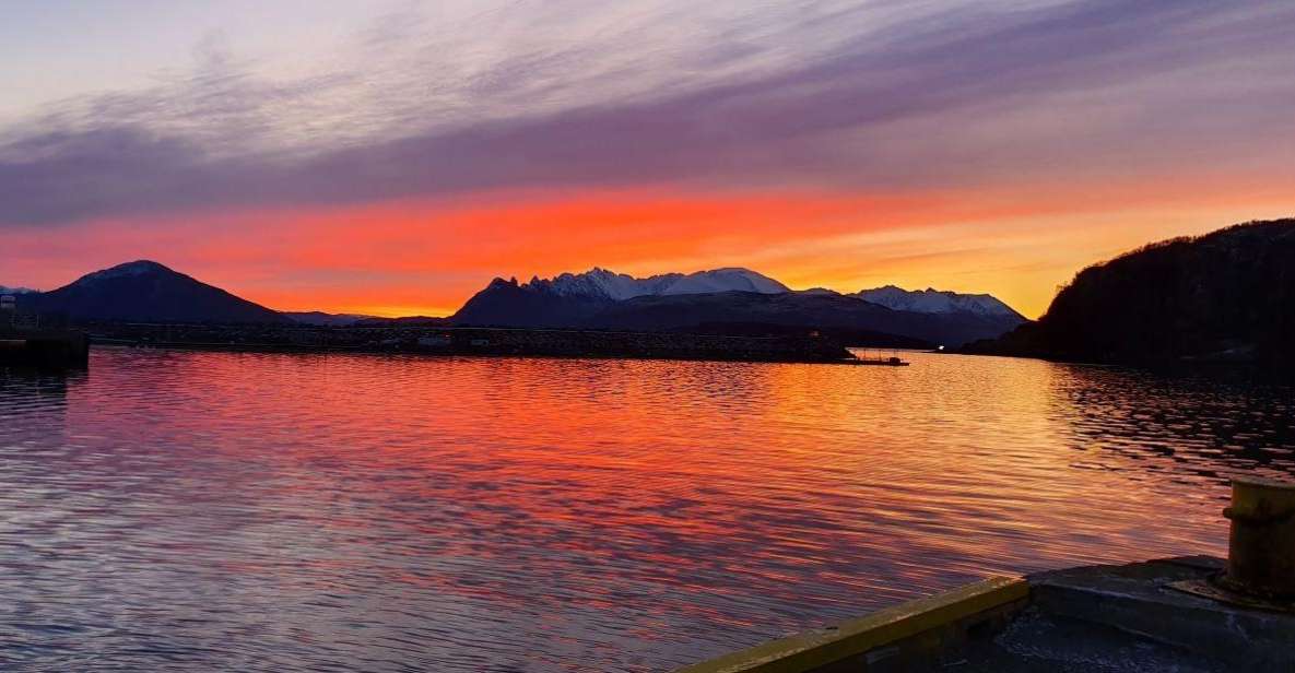 Skjervøy: Fjord Charter Adventure - Whale Watching Experiences