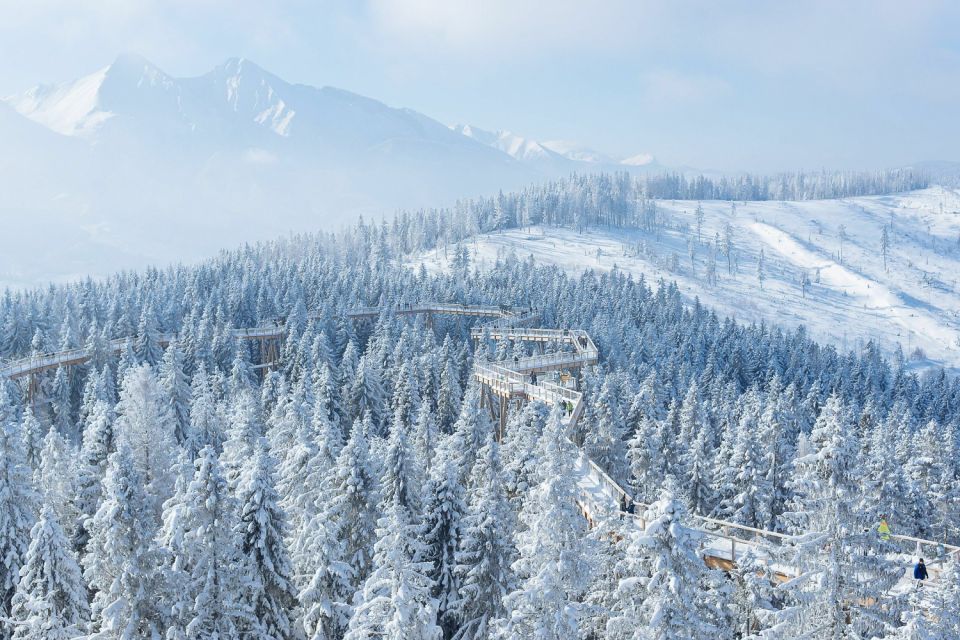 Slovakia: Treetop Walk & Thermal Baths From Krakow - Itinerary Highlights