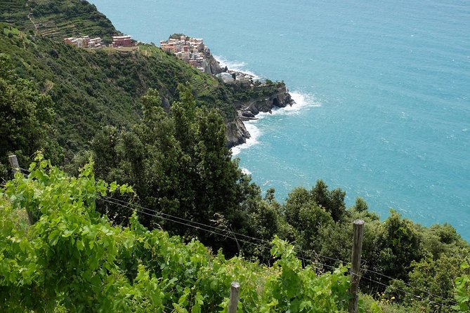 Small-Group Cinque Terre Discovery With Seafood Lunch - Transport and Meeting Details