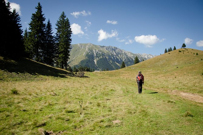 Small-Group Day Trip in Romanian Authentic Mountain Villages From Brasov - Hike Through Mist-Shrouded Landscapes