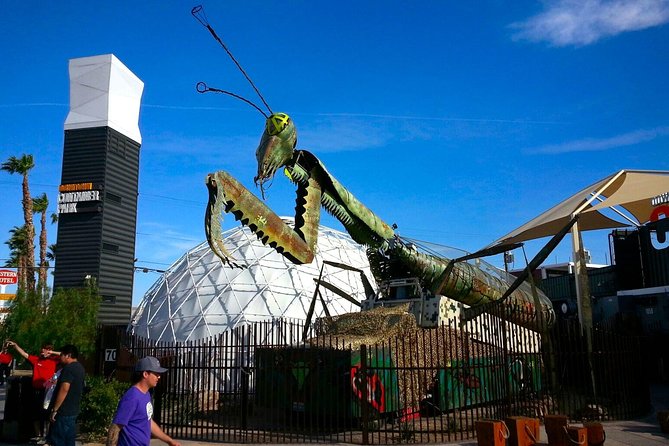 Small-Group Downtown and Fremont Street History Walking Tour - Tour Experience and Reviews