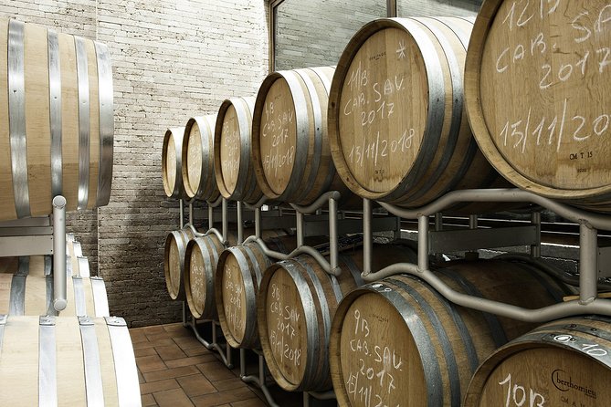 Small-Group Exclusive Winery and Wine Tasting Tour in Frascati - Experience Details