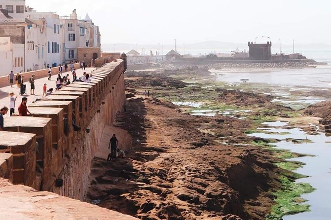 Small Group Excursions to Essaouira From Marrakech - Accessibility and Participation