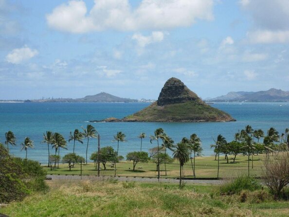 Small Group Grand Circle Island Tour Includes FREE Snorkeling With the Turtles - Wildlife and Environmental Considerations