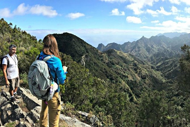 Small Group Guided Hiking in Anaga Rural Park in Tenerife - Meeting and Pickup Information