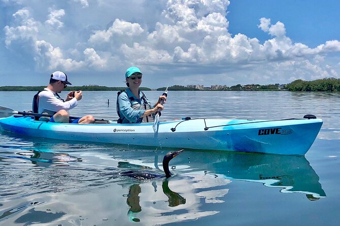 Small Group Kayak Tour of the Shell Key Preserve - Paddling Through Mangroves