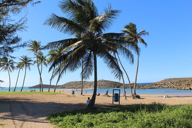 Small-Group North Coast Beach Hopping Adventure in Puerto Rico - Reviews and Feedback