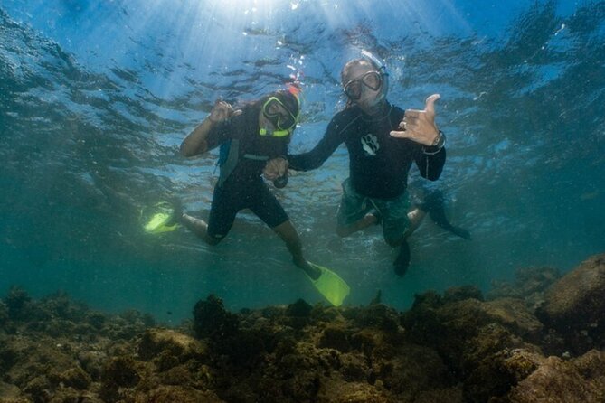 Small-Group Snorkeling Boat Trip in Guánica, Puerto Rico - Safety Briefing Included