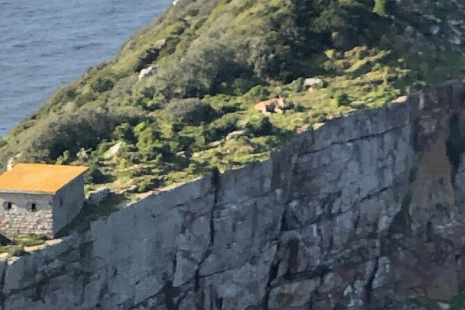 Small Group Tour Boulders Beach Penguin Colony Cape of Good Hope - Accessibility Considerations