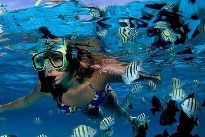 Snorkeling Adventure in St Lucia - Booking Confirmation and Cancellation