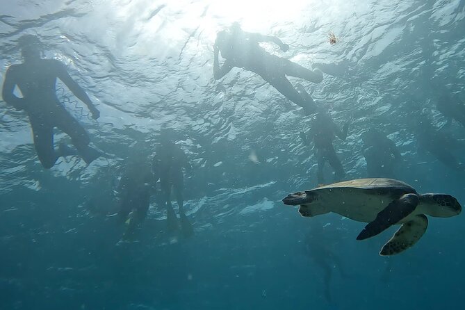 Snorkeling Experience in Santa Maria Bay by Boat - Start Time and Capacity