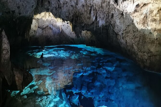 Snorkeling in the Cenotes of Bayahibe - Meeting and Pickup