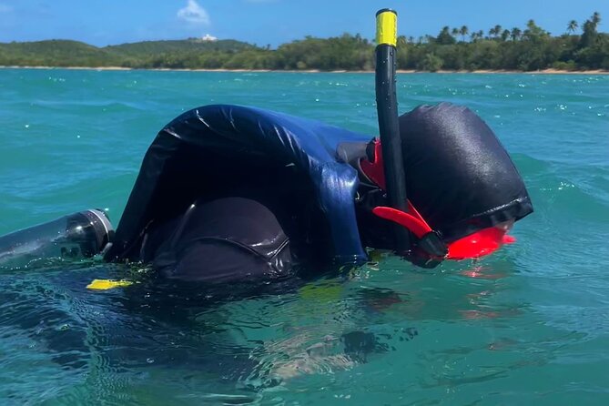 Snorkeling Lesson & Interactive Experience for Kids and Adults - Suitable for All Ages