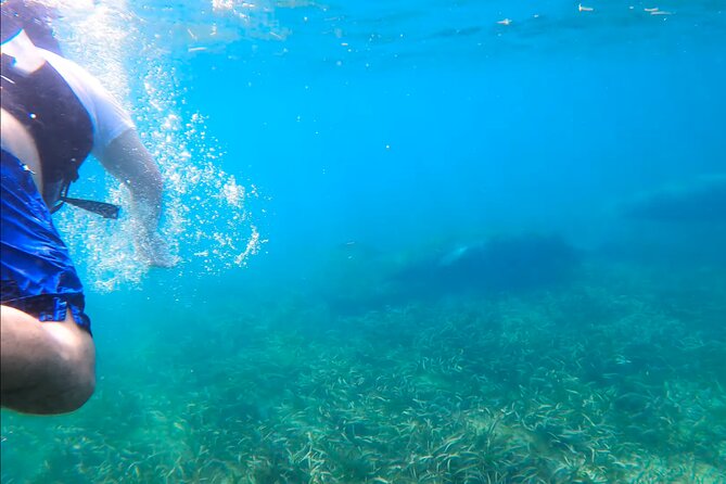 Snorkeling W/ Manatees & Turtles in San Juan! (Free Rum) - Adventurous and Fitness-Focused Experience