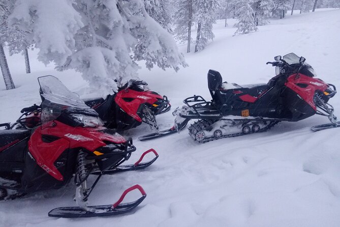 Snowmobile and Ice Fishing Excursion (Private Tour) - Booking Process