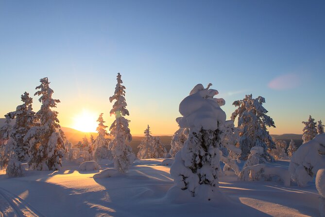 Snowshoe in a Winter Forest - What to Expect on the Trail