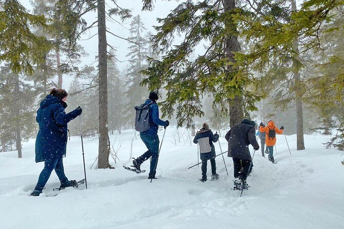 Snowshoe Tour in Winter Wonderland - Oslo - Requirements