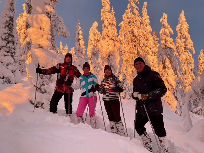 Snowshoeing in Levi - Highlights