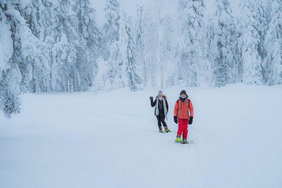 Snowshoeing in the Frozen Forest - Whats Included