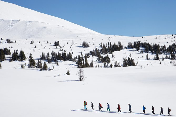 Snowshoeing on Top of the World - Meeting and Pickup Options