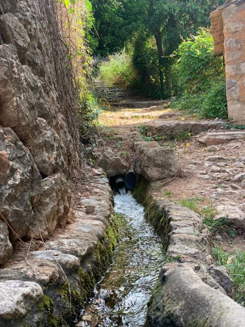 Soller Valley Walk: Small Villages and Citrus Farm Visit - Detailed Itinerary