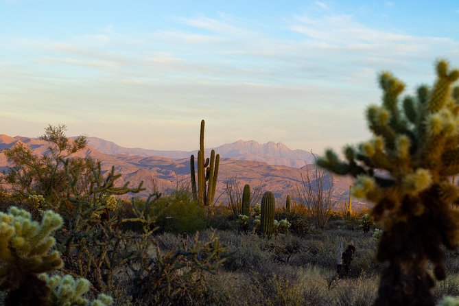 Sonoran Desert Jeep Tour at Sunset - Health Restrictions