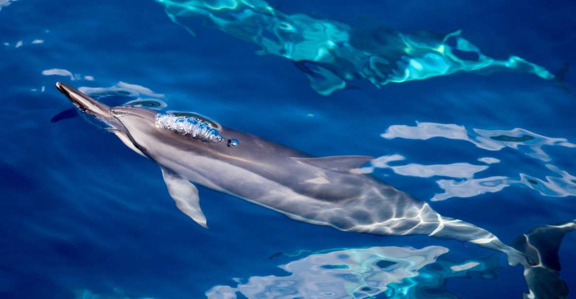 South Maui: Lanai Snorkel & Dolphin Watch From Maalaea - Lanai Island Coastline