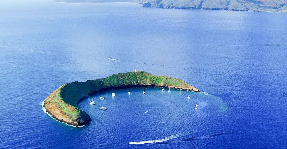 South Maui: Molokini & Turtle Town Snorkeling Tour With Meal - Meeting Point