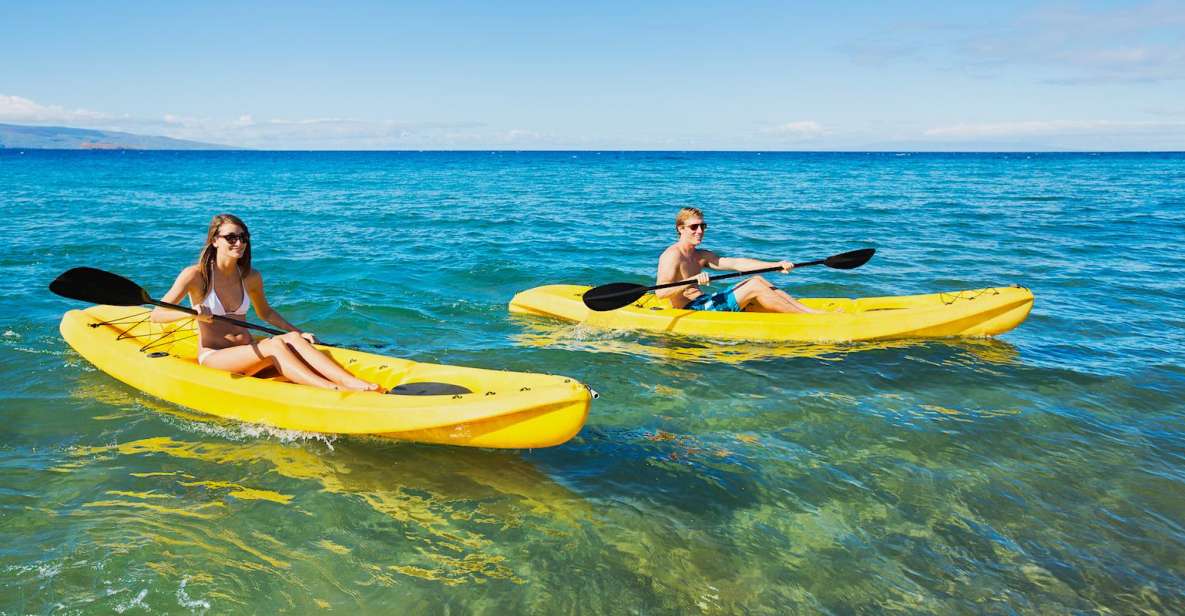 South Maui: Premium Turtle Town Kayak and Snorkel Tour - Dual Perspective Experience