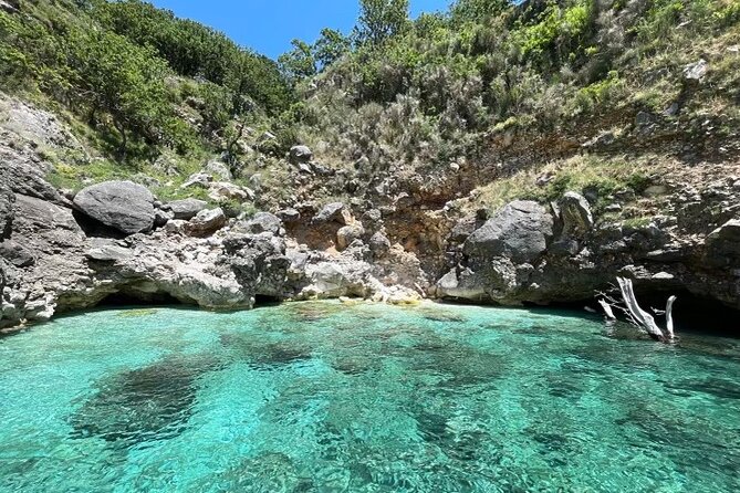 Speed Boat Tour to National Park and Grama Bay - Inclusions