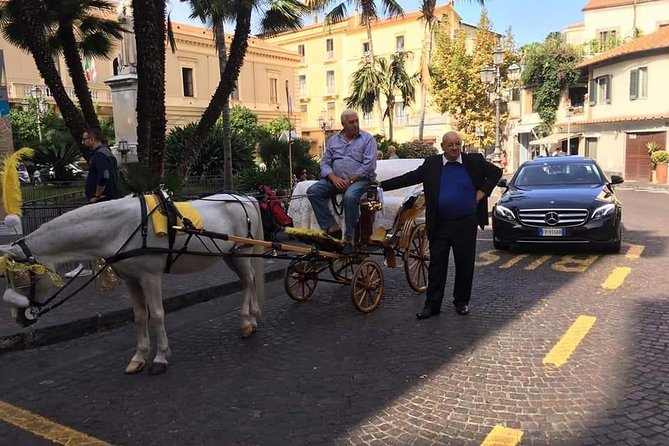 Splendid Day With Us in the Amalfi Coast and Surroundings - Savor the Flavors of Local Winery