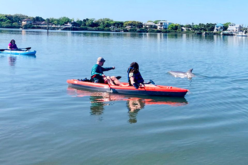 St. Augustine: Dolphin and Manatee Paddle or Kayak Tour - Meeting Point and Itinerary