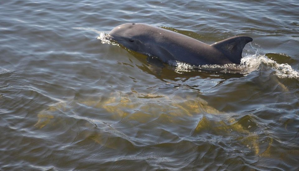 St. Augustine Downtown Bayfront: Kayak History Tour - Itinerary and Experience